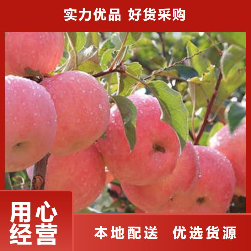 【红富士苹果】-红富士苹果产地价格实在