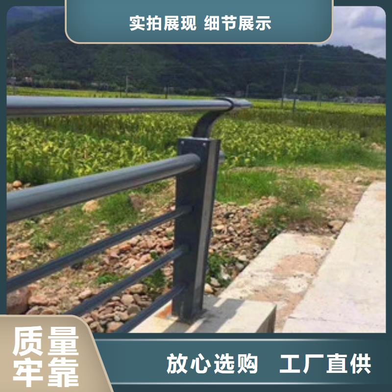 桥梁,【市政道路防护栏】供应商