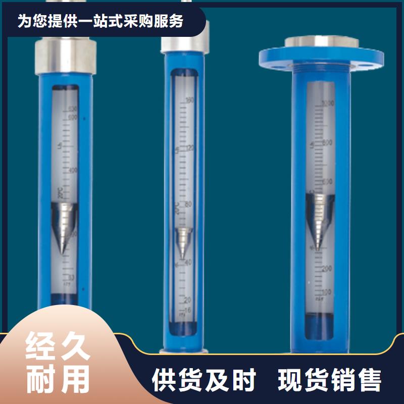 G10空气流量计联系厂家