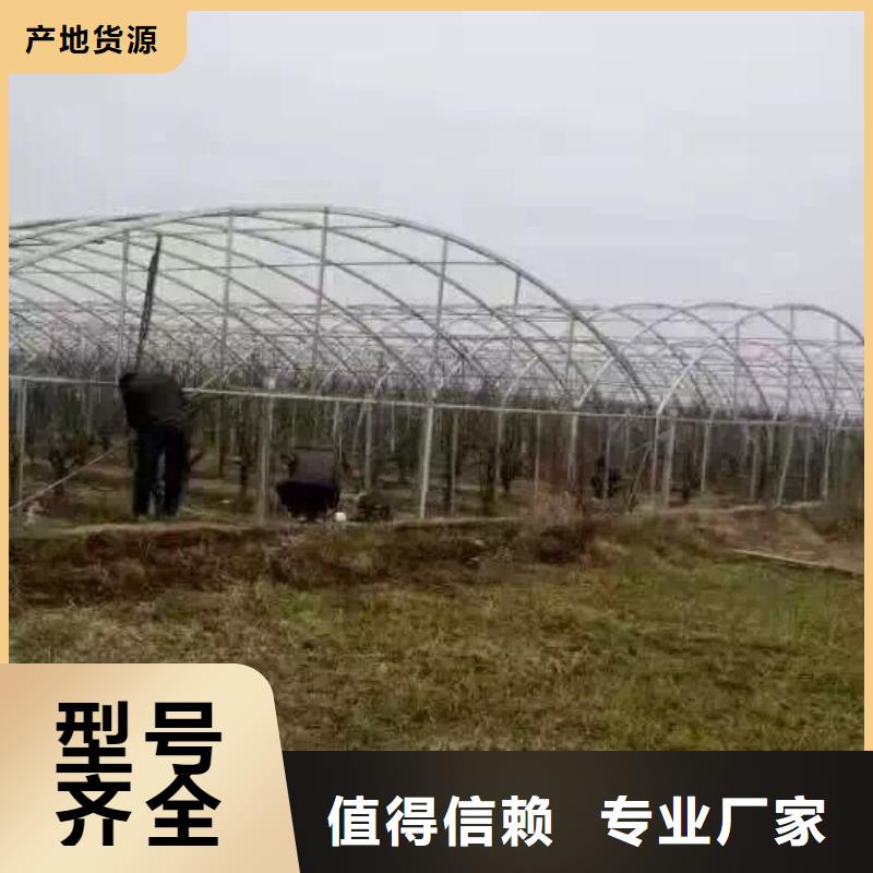 管材,【热镀锌角钢】量大更优惠