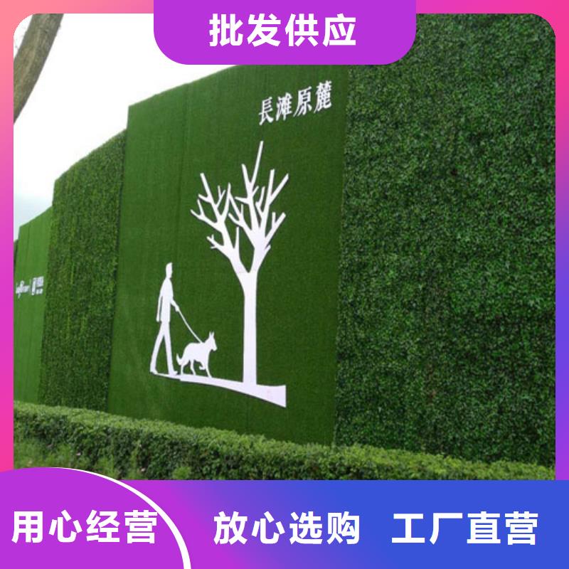 【围挡草坪,人工草坪围挡发货及时】