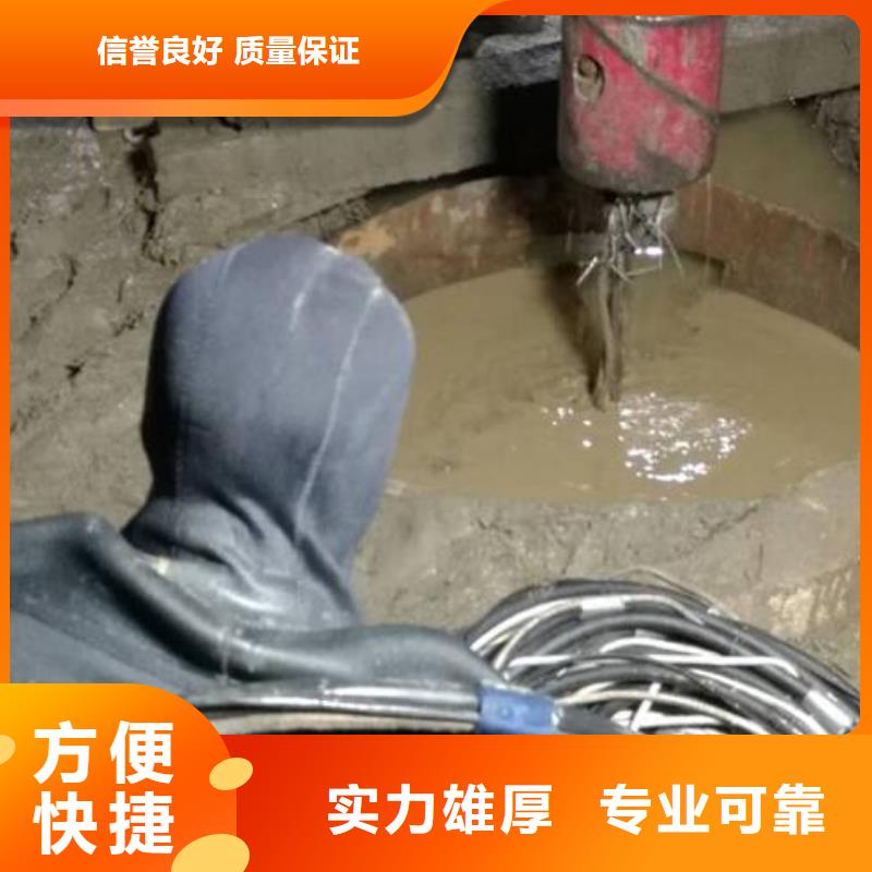 水下照相装备精良