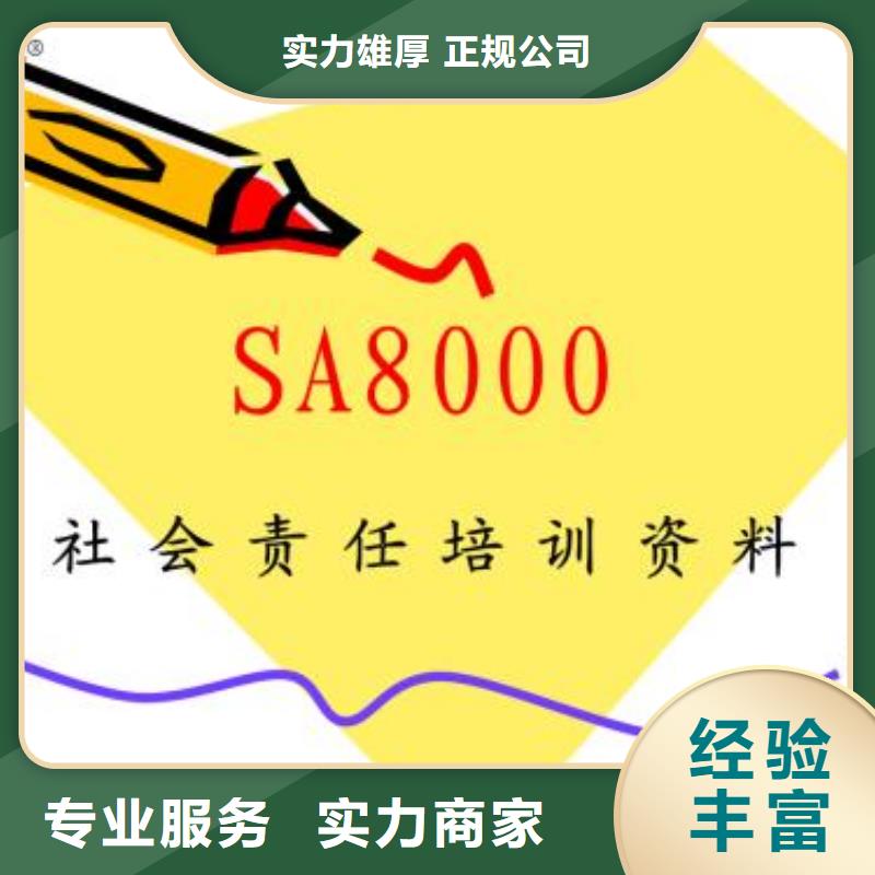 SA8000认证ISO9001\ISO9000\ISO14001认证先进的技术