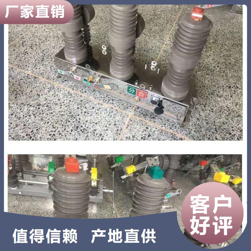 真空断路器户外高压真空智能断路器懂您所需