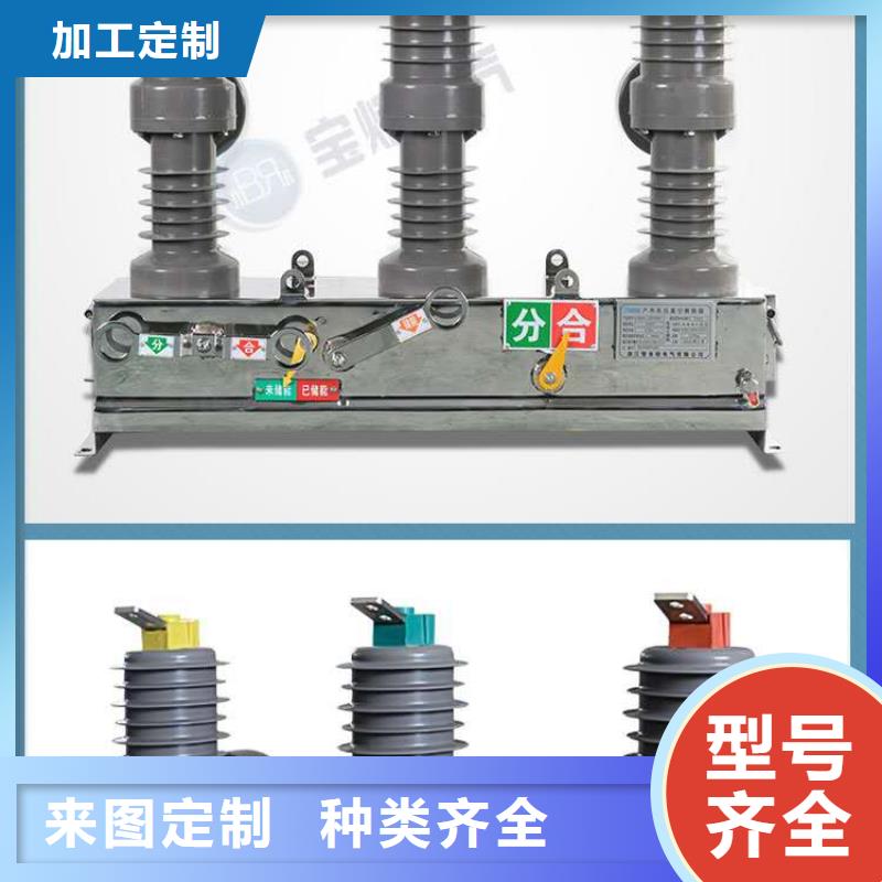 真空断路器高压氧化锌避雷器正品保障