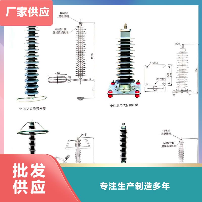 氧化锌避雷器高压负荷开关品种全