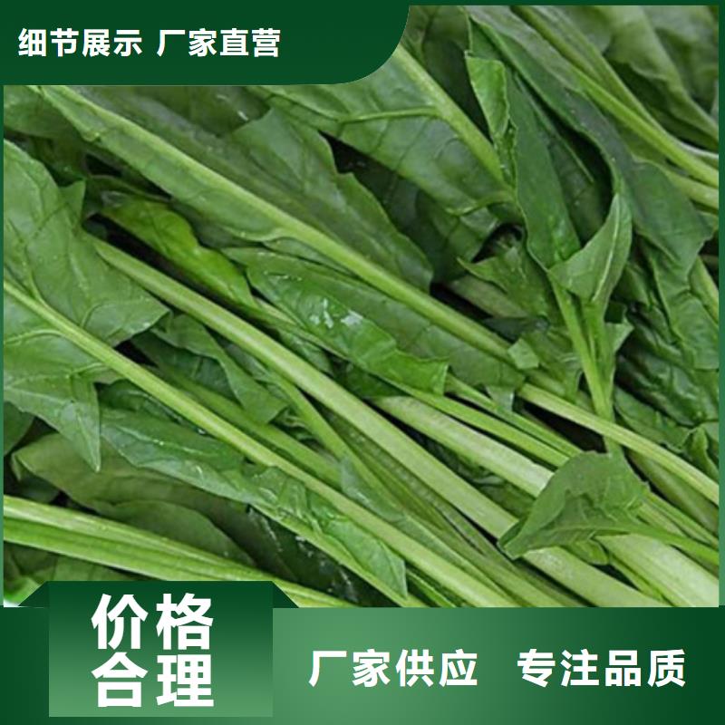 菠菜粉实力老厂