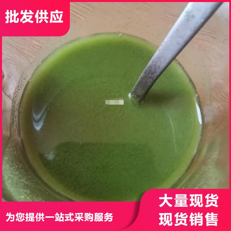 购买羽衣甘蓝粉认准乐农食品有限公司