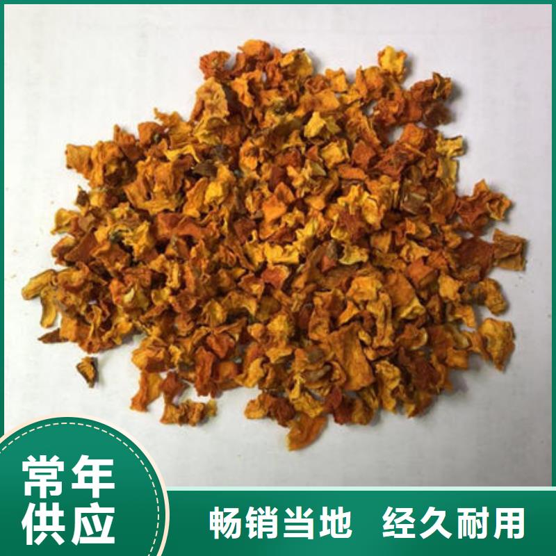 南瓜丁【灵芝菌种】订制批发