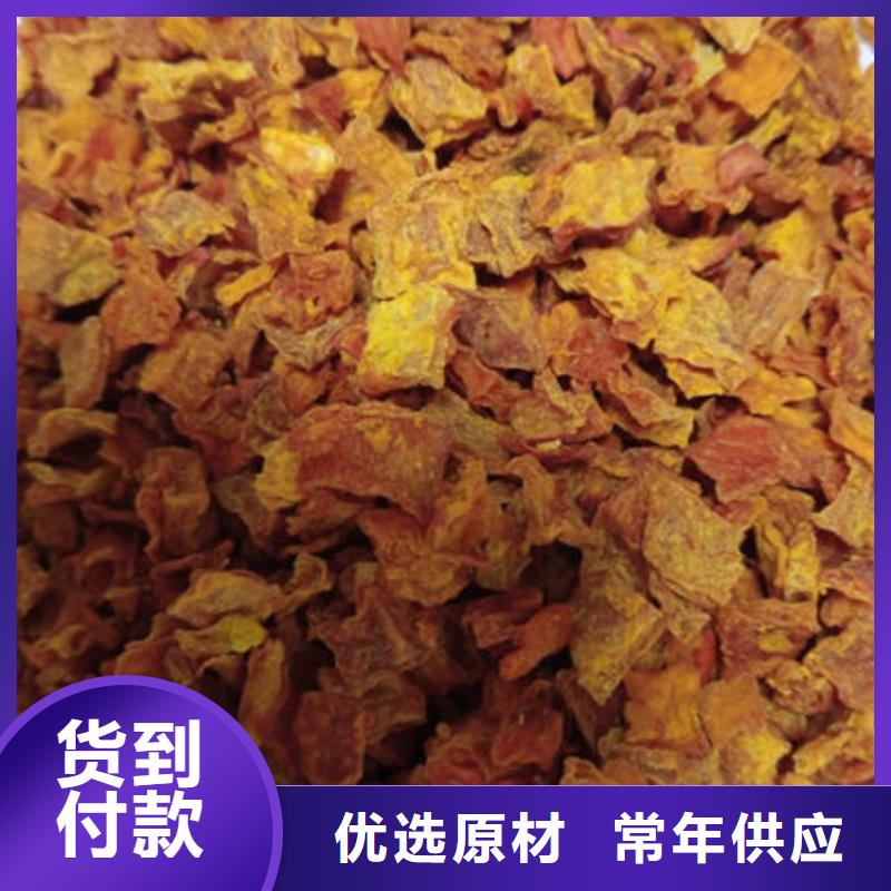 南瓜丁【灵芝菌种】订制批发