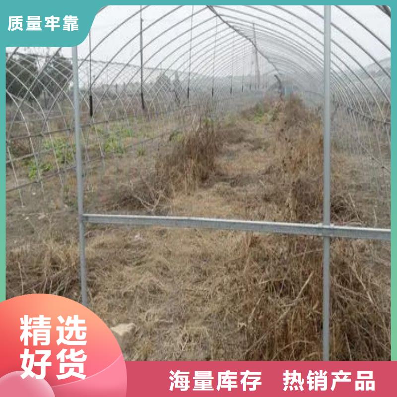 大棚管2,连栋温室搭建拒绝差价