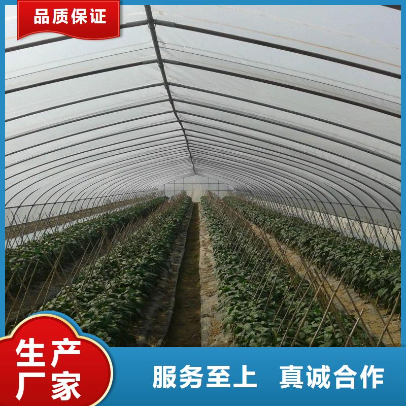 大棚管2大棚管源头厂家量大价优