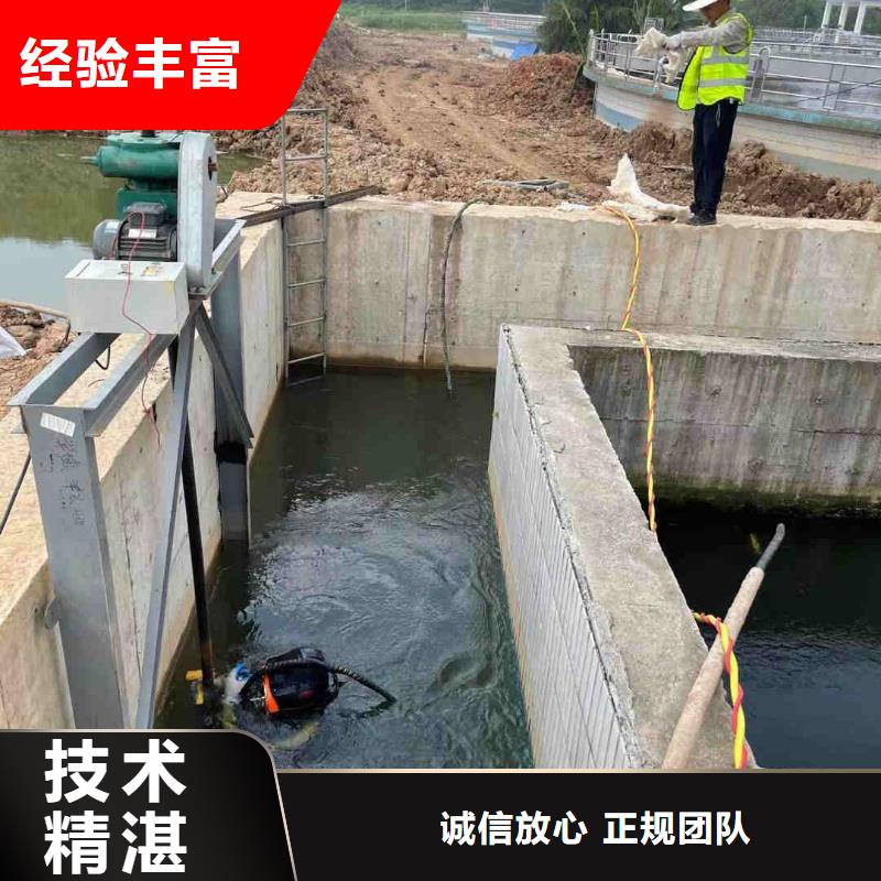 桥桩桥墩水下检测录像公司-本地施工队
「苏龙潜水队」