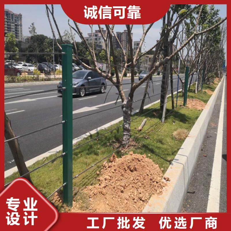 性价比高的绳索护栏安装方法基地