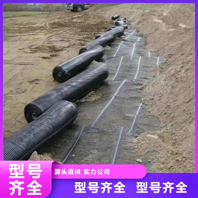 单向塑料土工格栅三维土工网垫通过国家检测