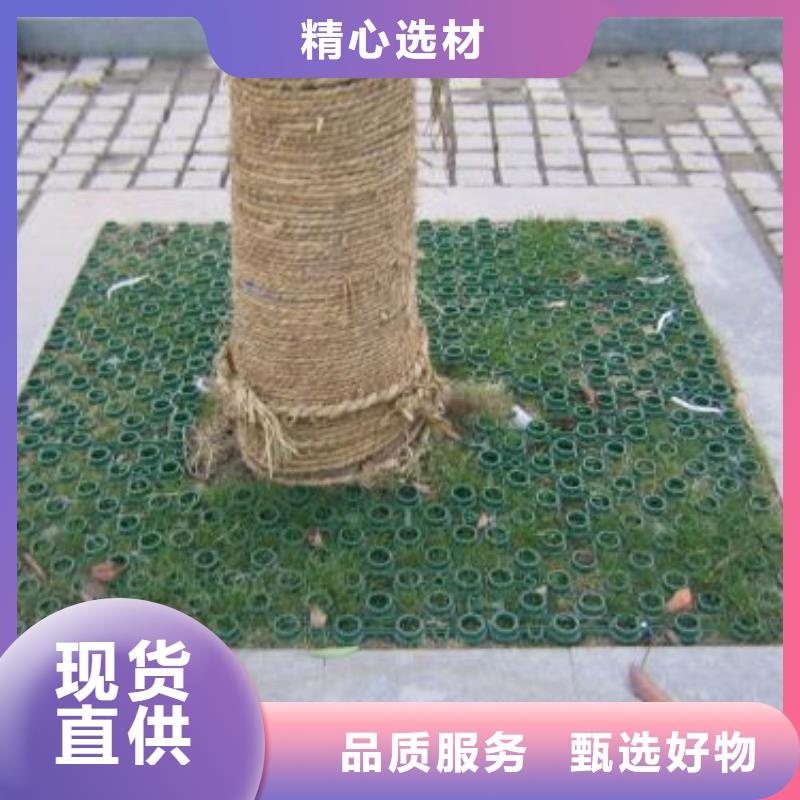 【植草格】蜂巢格室为您精心挑选