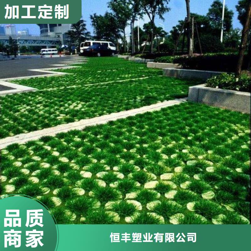 植草格双向塑料土工格栅拒绝差价