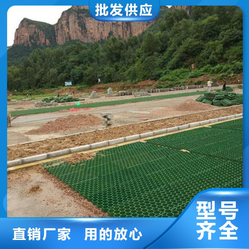 植草格双向塑料土工格栅符合行业标准