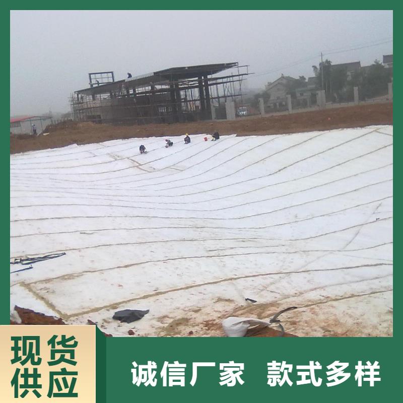 【膨润土防水毯】涤纶土工格栅制造生产销售