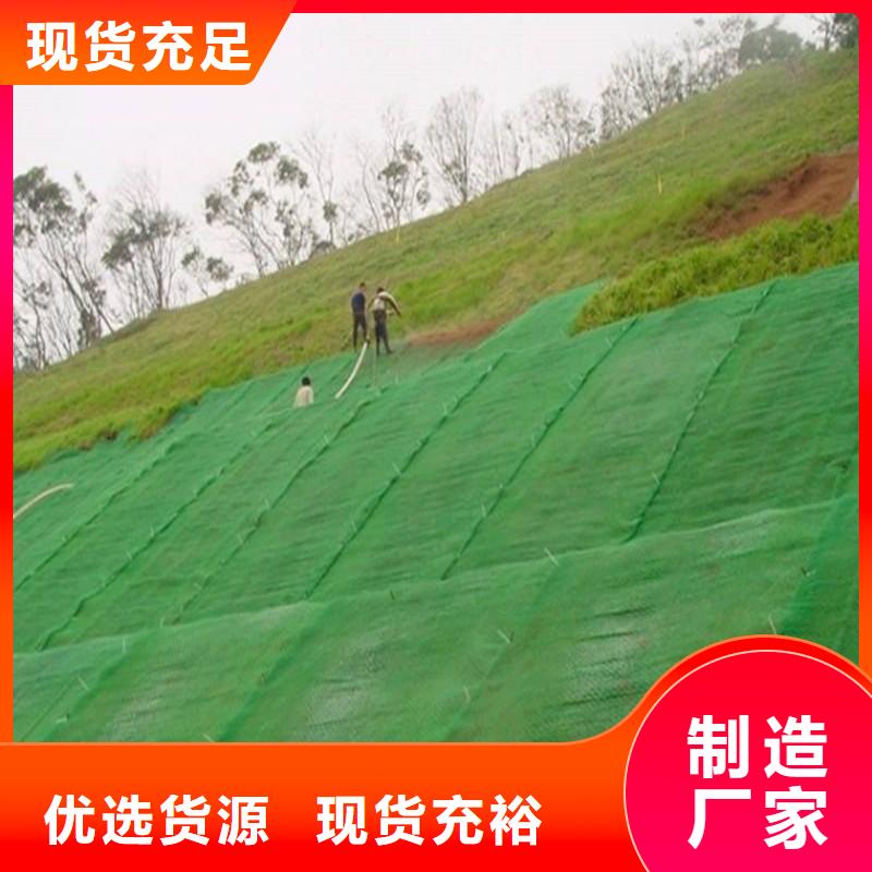 三维植被网_【土工布】量大更优惠