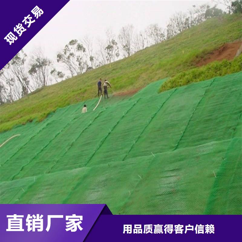 三维植被网,【双向塑料土工格栅】订制批发