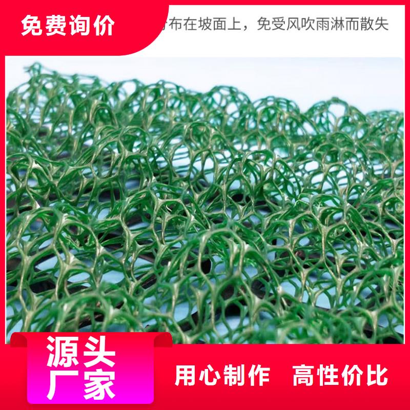 三维植被网玻纤土工格栅现货充足量大优惠