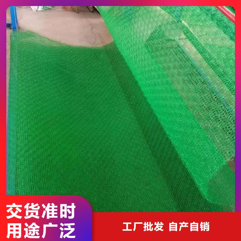 三维植被网【三维土工网垫】联系厂家