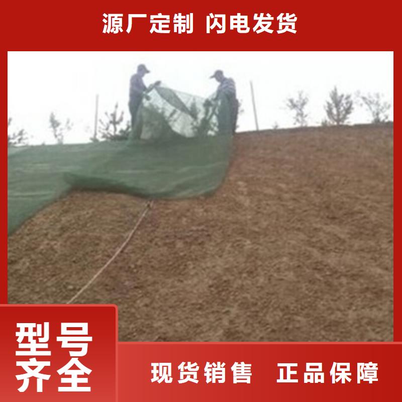 三维植被网,单向塑料土工格栅研发生产销售