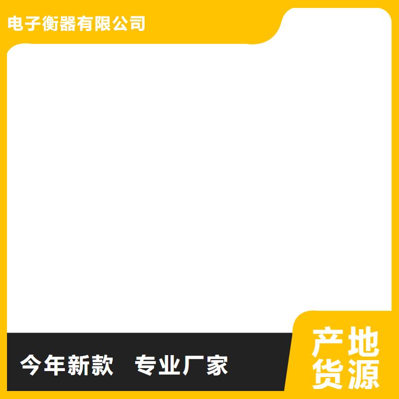 地磅仪表【电子吊磅】专注生产制造多年