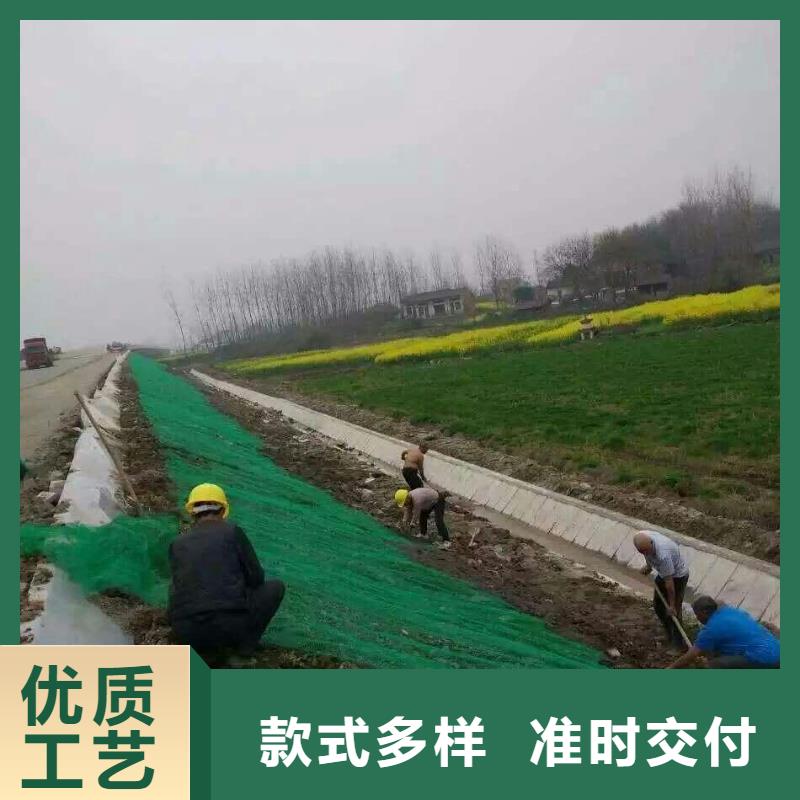 三维植被网,双向塑料土工格栅用心制作