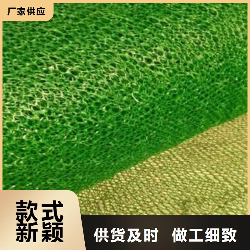 三维植被网_【钢塑土工格栅】用好材做好产品