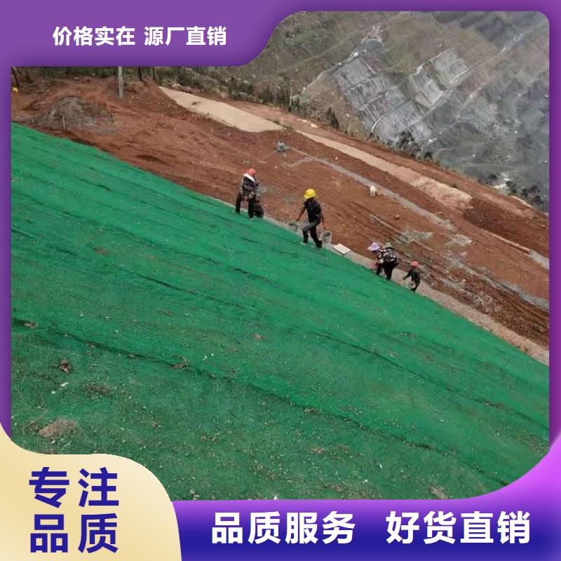 三维植被网凸结点钢塑土工格栅源头工厂