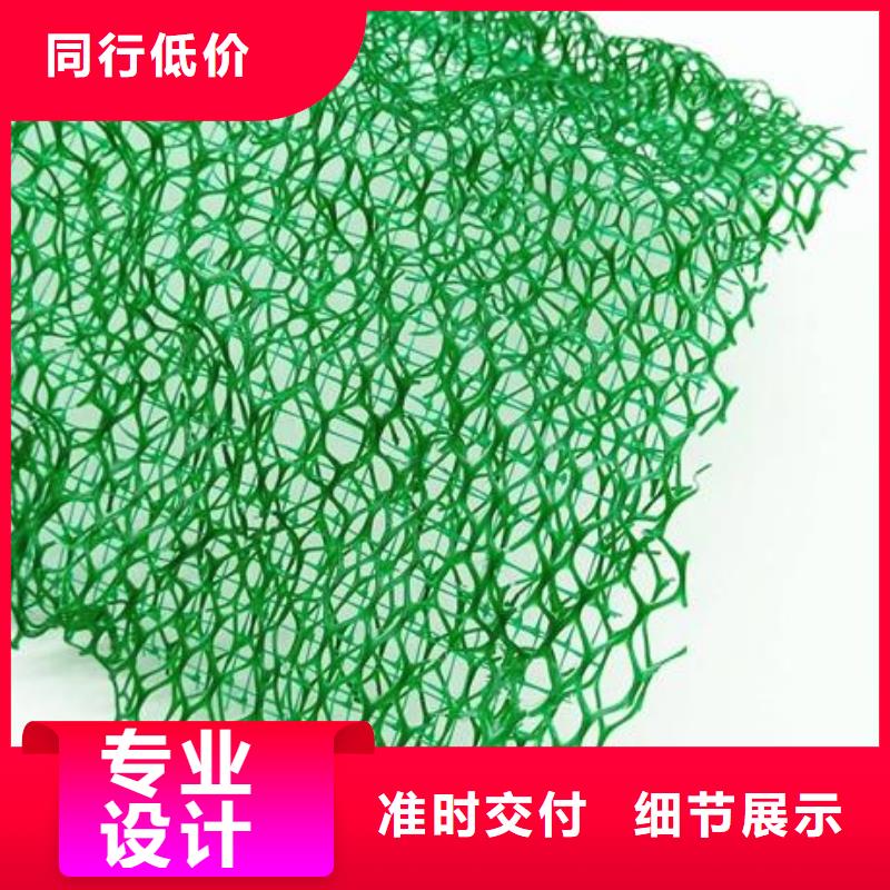 三维植被网-【三维复合排水网】可定制