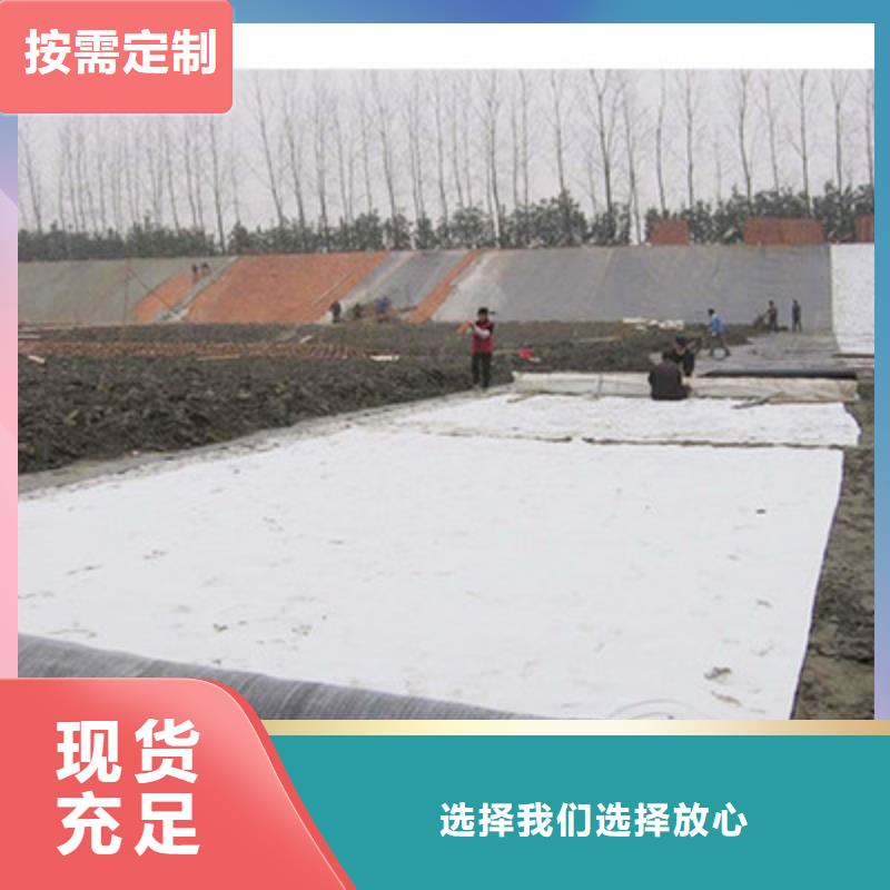 膨润土防水毯【涤纶土工格栅】产品细节参数