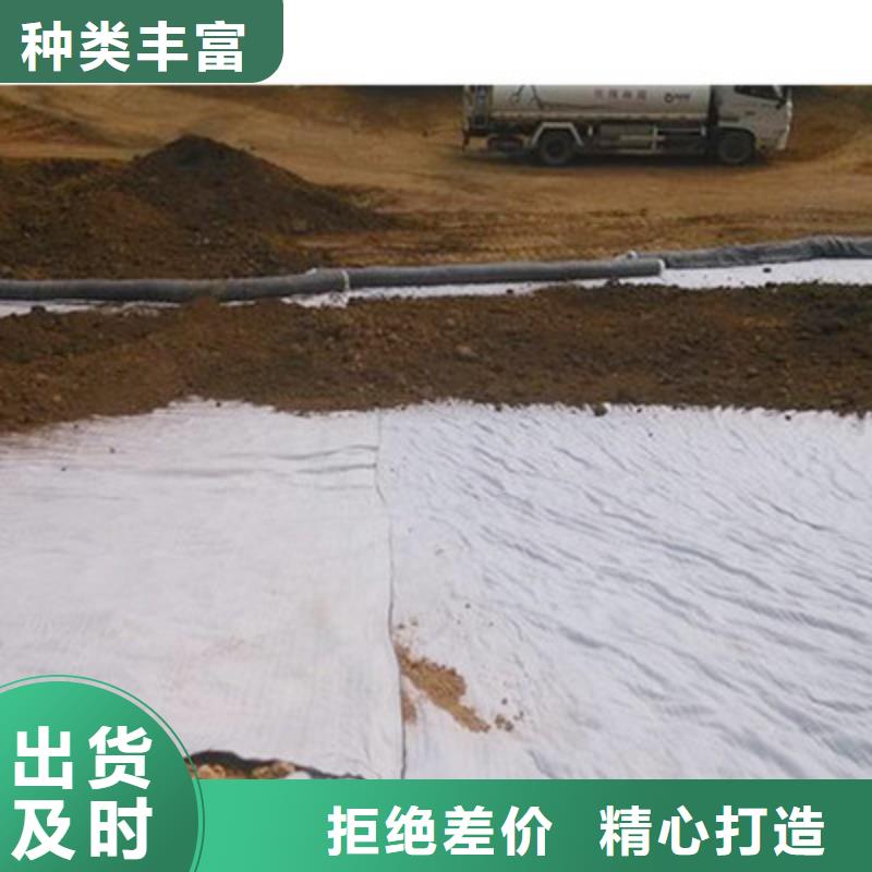 【膨润土防水毯涤纶土工格栅源头厂家】