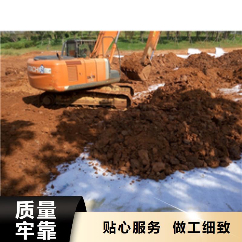 【防水毯】三维水土保护毯诚信经营