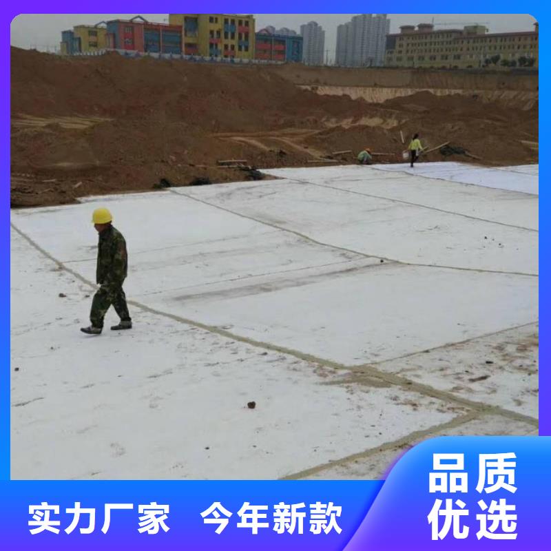 防水毯钢塑土工格栅厂家产品优良