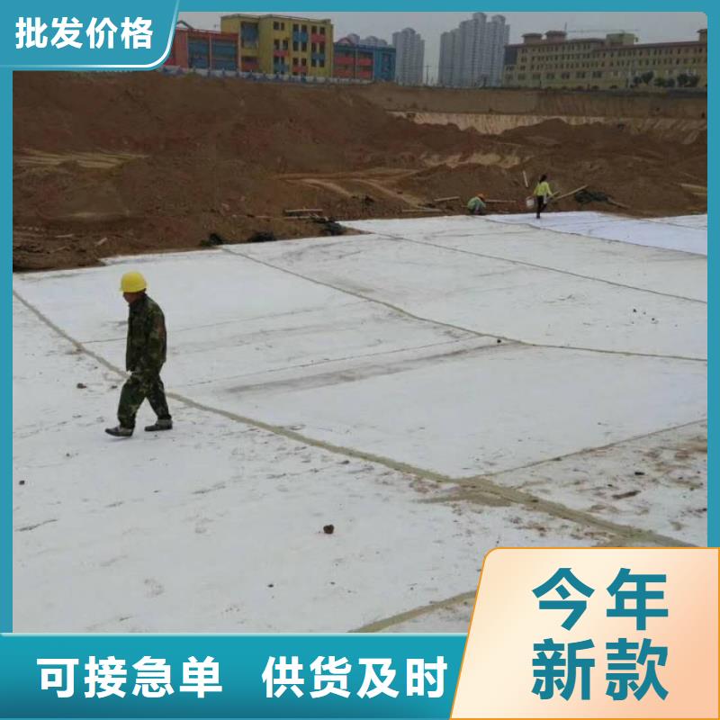 防水毯凸结点钢塑土工格栅用心制作