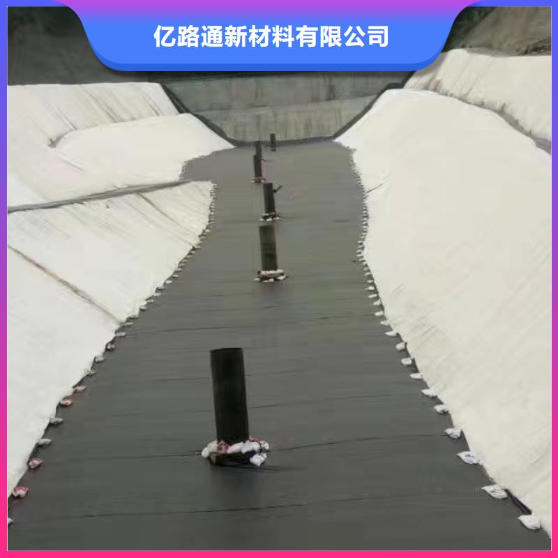 【土工膜】涤纶土工格栅诚信商家