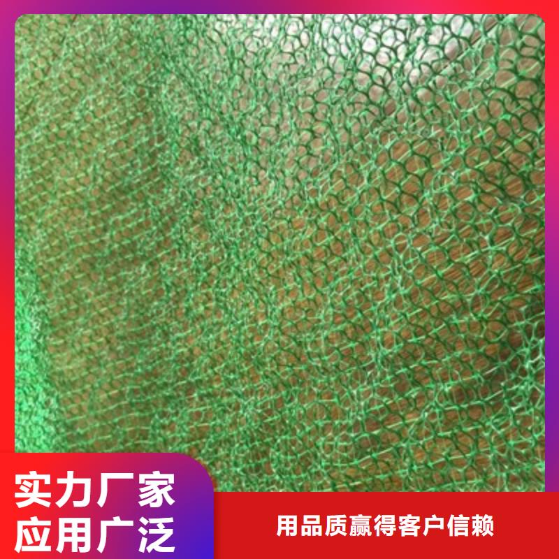 三维植被网【涤纶土工格栅】大厂家实力看得见