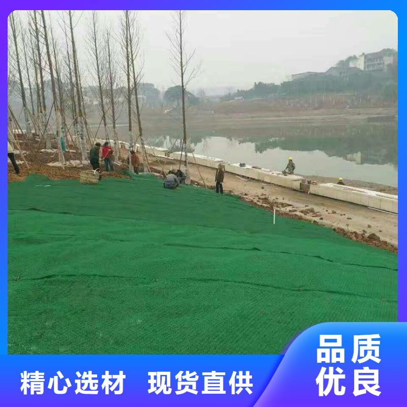 三维植被网单向塑料土工格栅厂家规格全