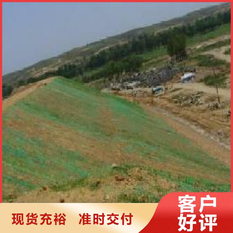 三维植被网【钢塑土工格栅厂家】按需定做