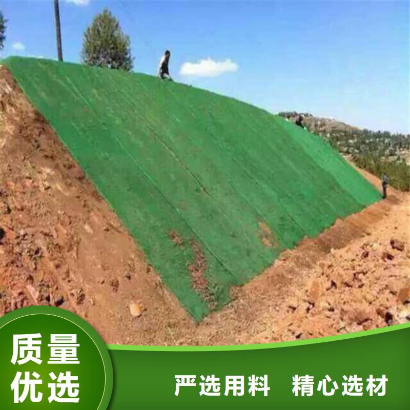 三维植被网单向塑料土工格栅厂家规格全