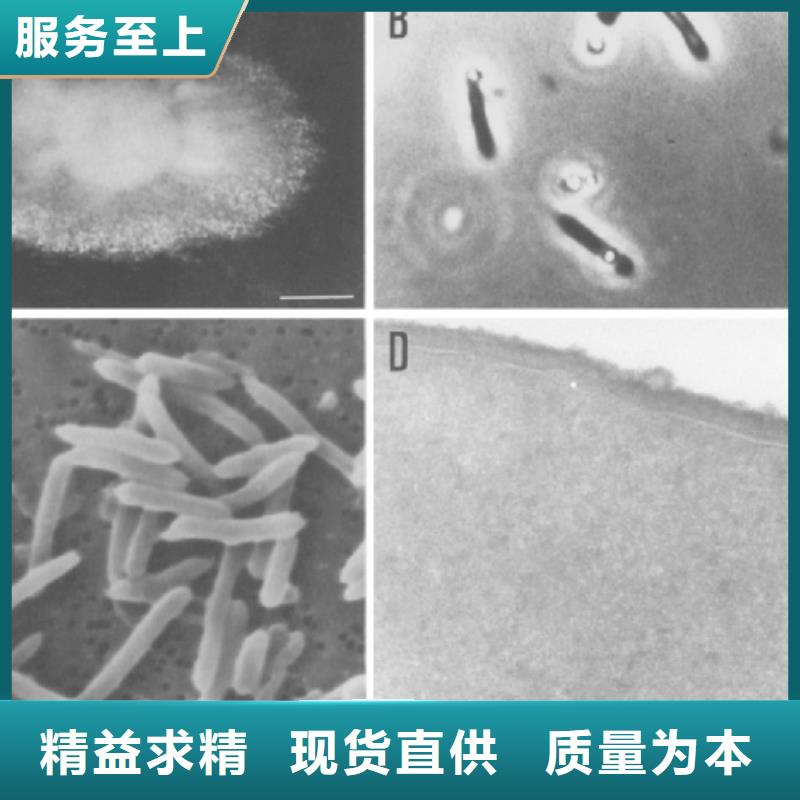 碳源聚丙烯酰胺可放心采购