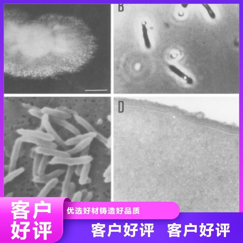 碳源页岩陶粒滤料供应商