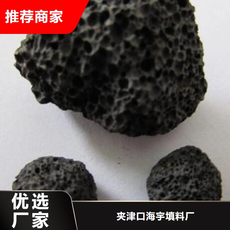 火山岩【生物陶粒滤料】工厂自营