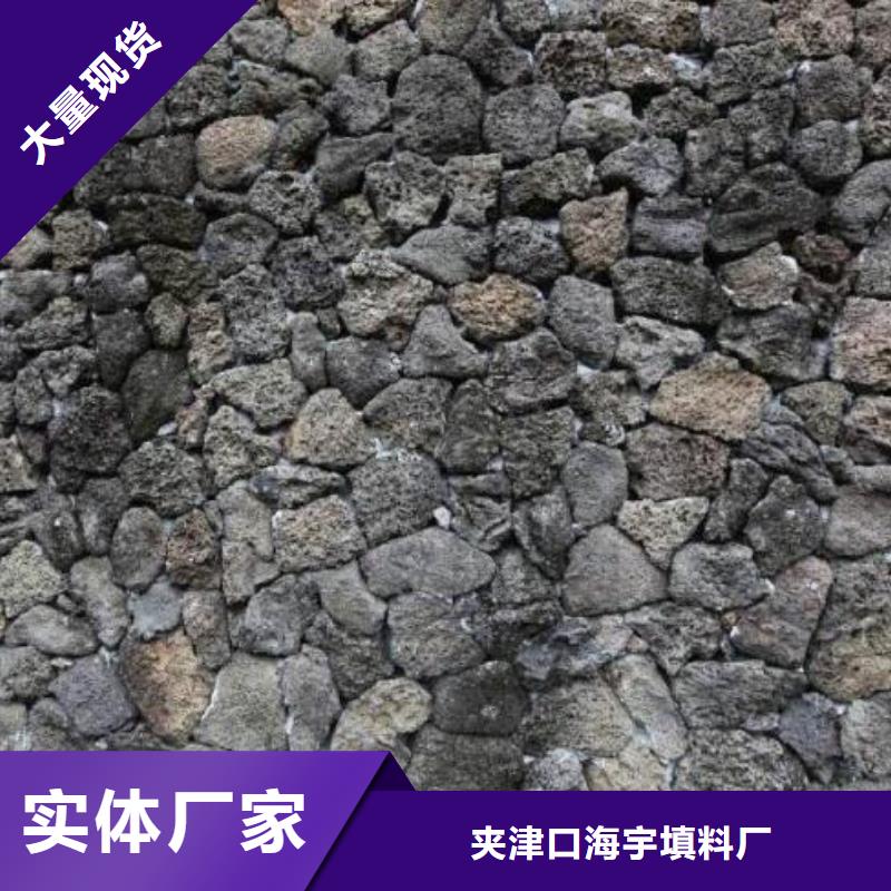 火山岩_生物陶粒滤料现货充足量大优惠