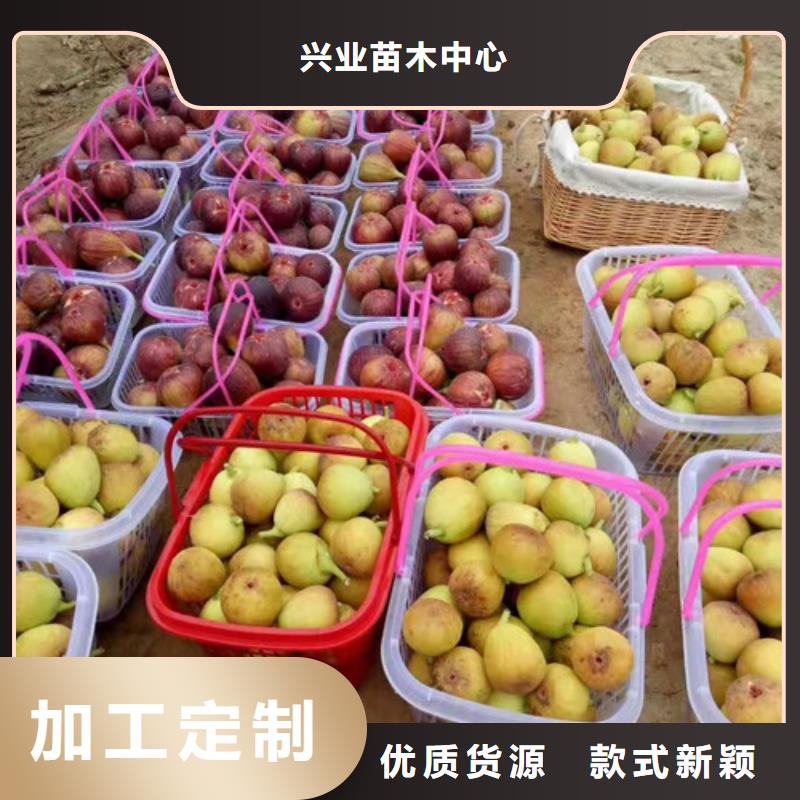 无花果_蓝莓苗拥有多家成功案例