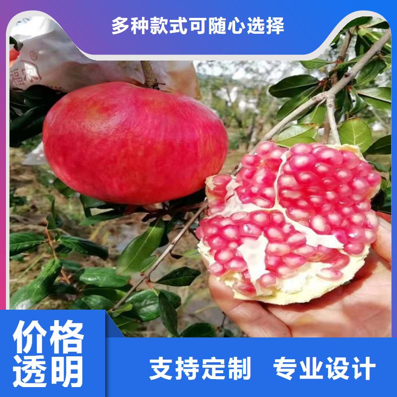 石榴-桃树苗源头厂家量大价优