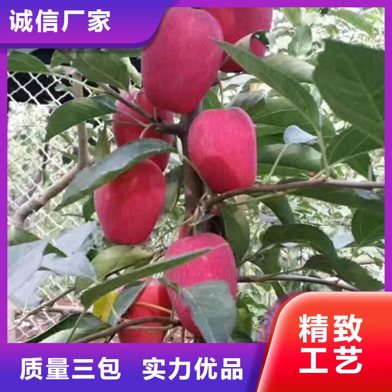 苹果-奶油草莓优良材质